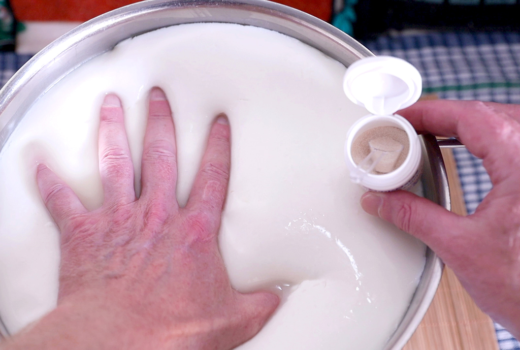 πρωτοσέλιδο - Γιατί η πυτιά πήζει το γάλα?