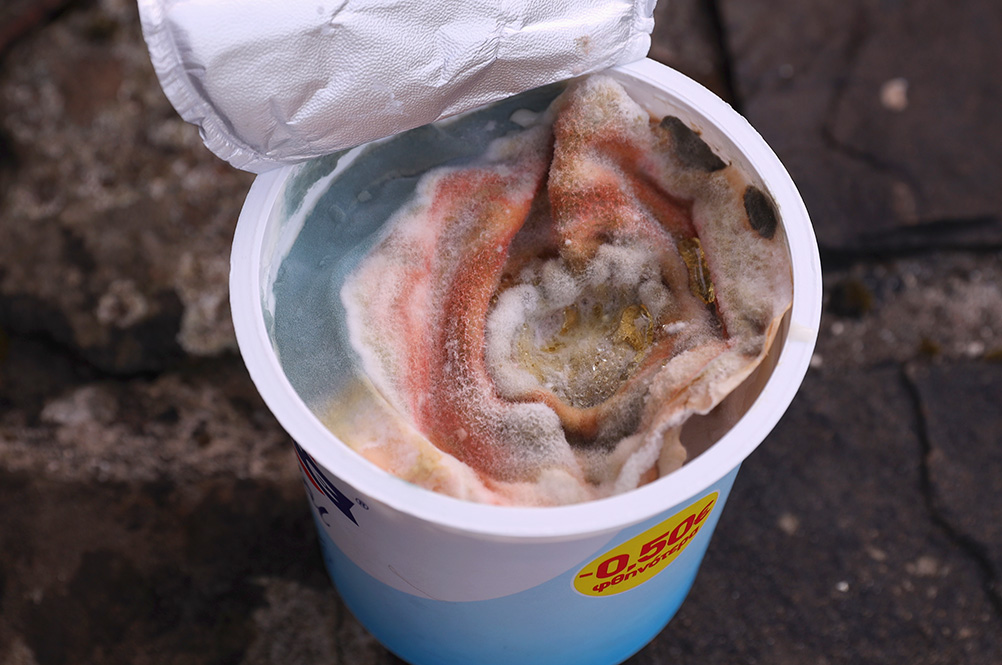 πρωτοσέλιδο - Πώς οι ζυμομύκητες προκαλούν κακή δομή και άσχημο flavor