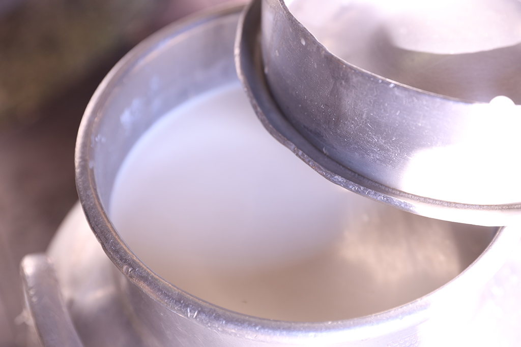 πρωτοσέλιδο - Γαλακτική Ζύμωση – Η 1η ζύμωση η οποία μάς ενδιαφέρει