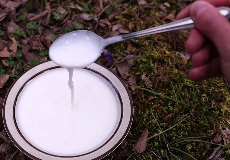 Πρωτοσέλιδο - Είδη εξωπολυσακχαριτών στα γαλακτοκομικά προϊόντα