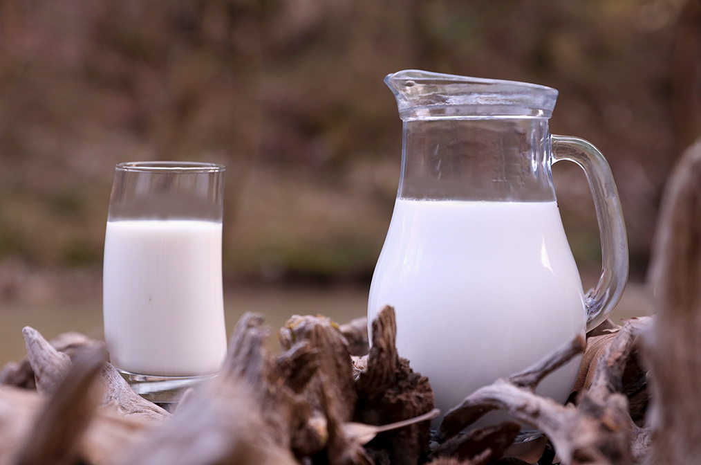 πρωτοσέλιδο - Ποιές είναι οι Μ Ο Ν Α Δ Ι Κ Ε Σ πρωτεΐνες γάλακτος?