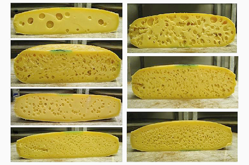 πρωτοσέλιδο - The Lord of the Cheeses