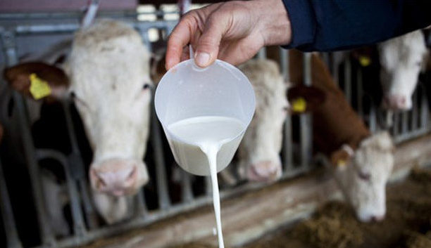 Τι πρέπει να ξέρω για την οξύτητα του γάλακτος