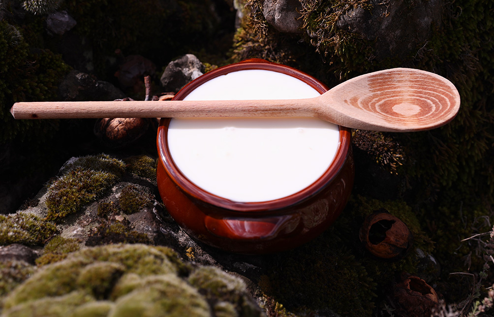 πρωτοσέλιδο - Οι 3 τύποι των ζυμωμένων γαλάτων