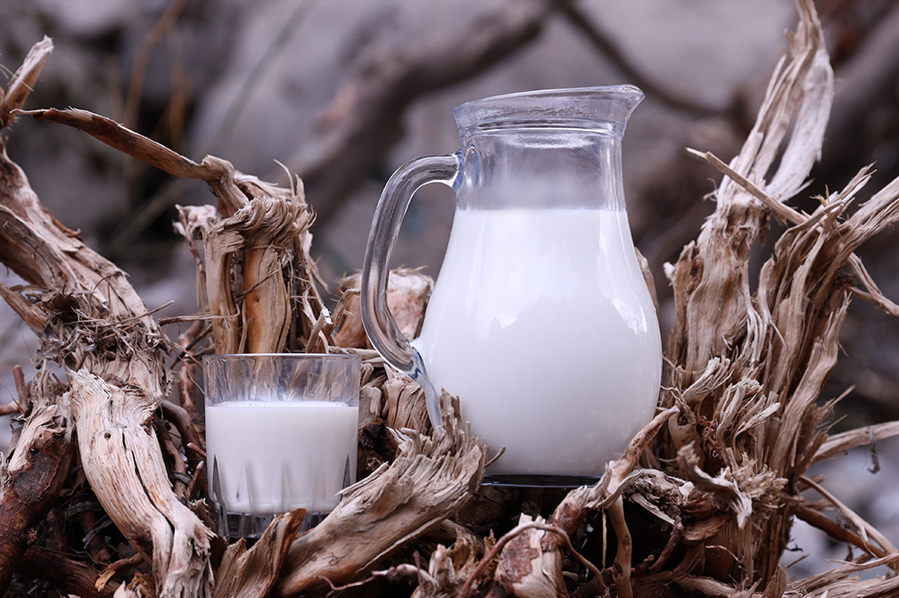 πρωτοσέλιδο - Όλα όσα πρέπει να ξέρετε για το ομογενοποιημένο γάλα