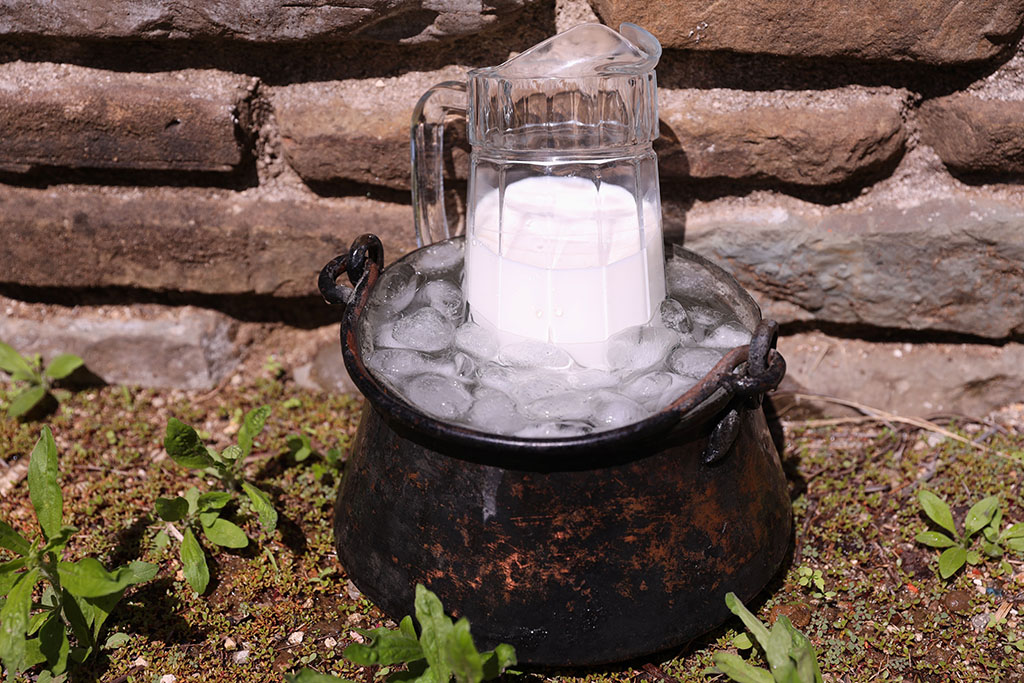 πρωτοσέλιδο-Ψυχρότροπα βακτήρια – The X factor