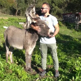 Από την αγάπη στα γαϊδουράκια έως την παραγωγή προϊόντων από γάλα όνου