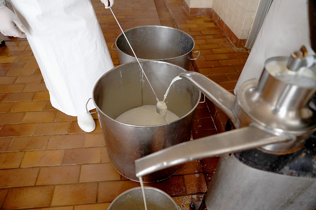 πρωτοσέλιδο - 7 πράγματα πού πρέπει οπωσδήποτε να ξέρω για την τυποποίηση του γάλακτος