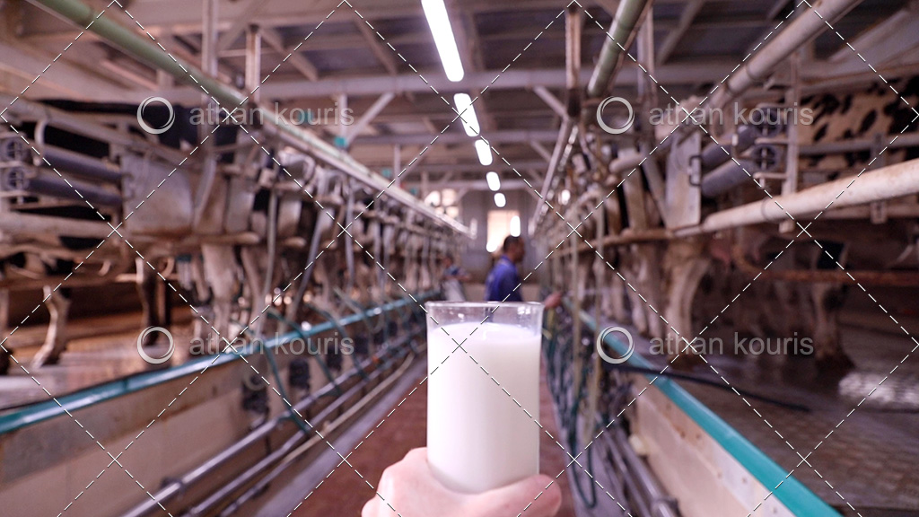 πρωτοσέλιδο - Ποιές νομίζετε ότι είναι οι προδιαγραφές στο παστεριωμένο γάλα?