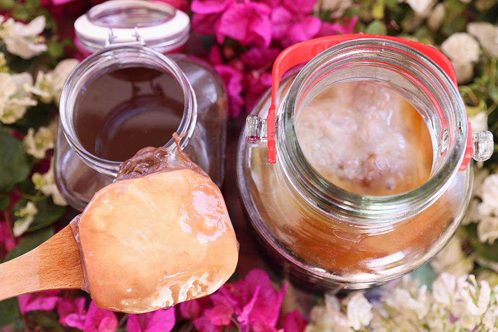 πρωτοσέλιδο - Φτιάχνω τσάι Κομπούτσα – Κομπούχα (Kombucha) με σκόμπι