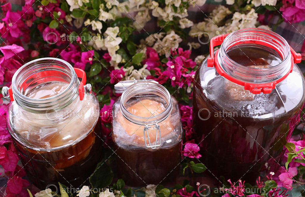 πρωτοσέλιδο - Ζυμώσεις στο τσάι Κομπούτσα – Κομπούχα (Kombucha) – Τί θα πρέπει να ξέρω?