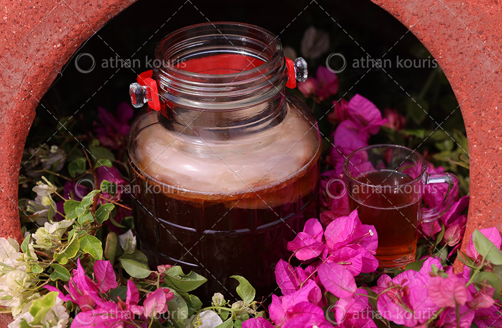 πρωτοσέλιδο - Βιοδραστικά συστατικά στο τσάι Κομπούτσα – Κομπούχα (Kombucha)