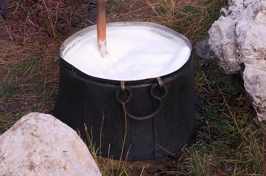 πρωτοσέλιδο - Το νωπό, το απαστερίωτο και το θερμισμένο γάλα