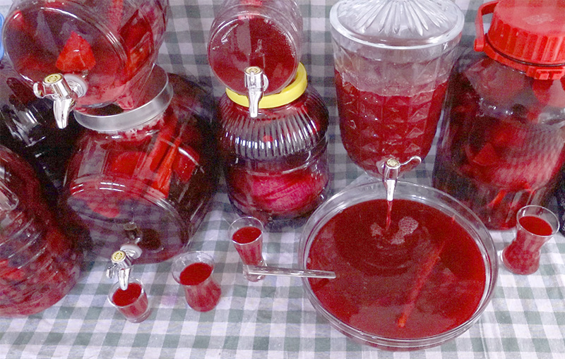 ΠΡΩΤΟΣΕΛΙΔΟ - Υπάρχει άραγε συνταγή για το προβιοτικό ρόφημα Shalgam?