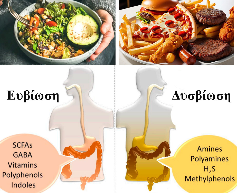 ΠΡΩΤΟΣΕΛΙΔΟ - Διατροφή και Εντερικό Μικροβίωμα – Να γιατί θα πρέπει να αλλάξω την διατροφή μου!